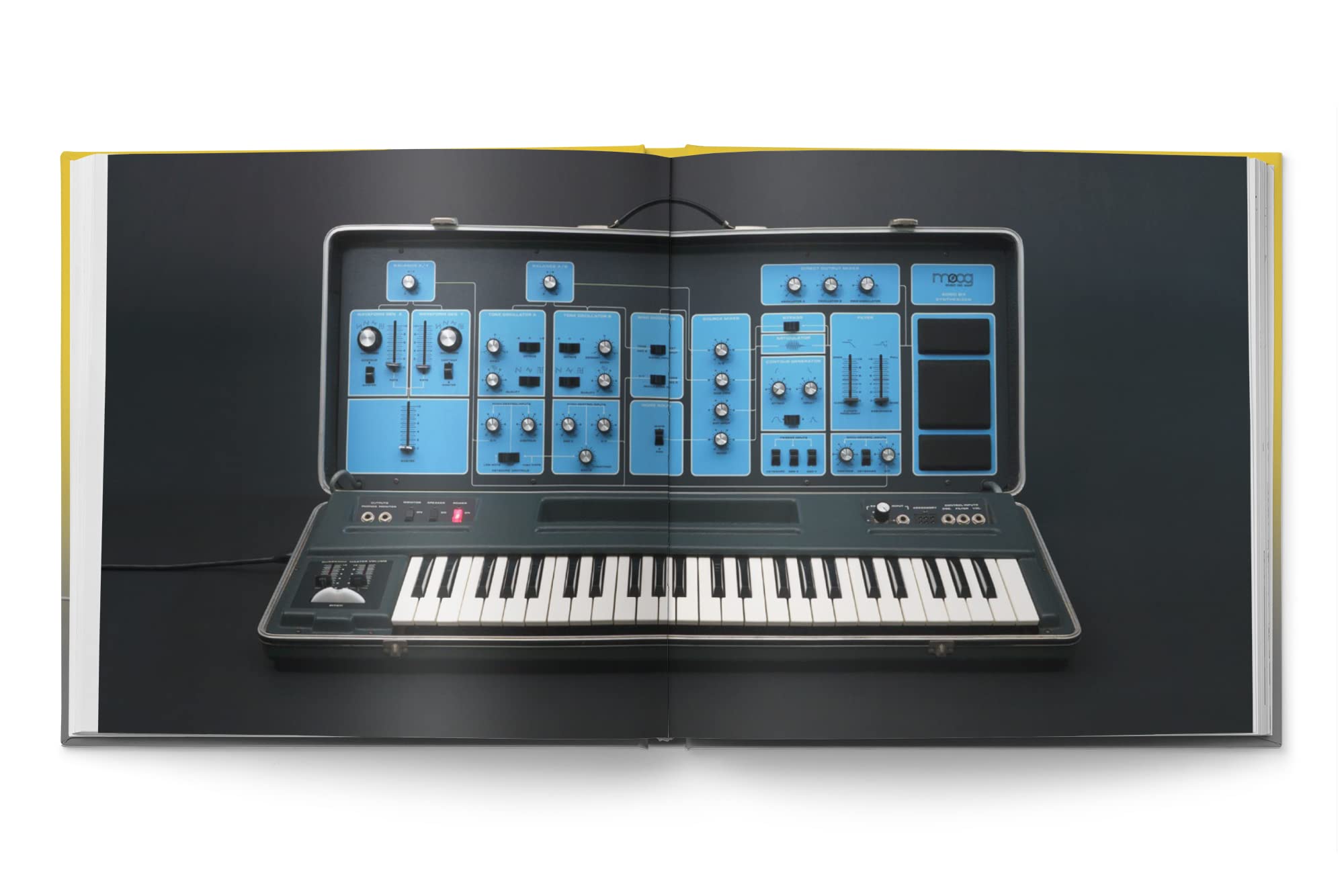 Amazon.co.jp: Synth Gems 1 : Mike Metlay: 楽器・音響機器